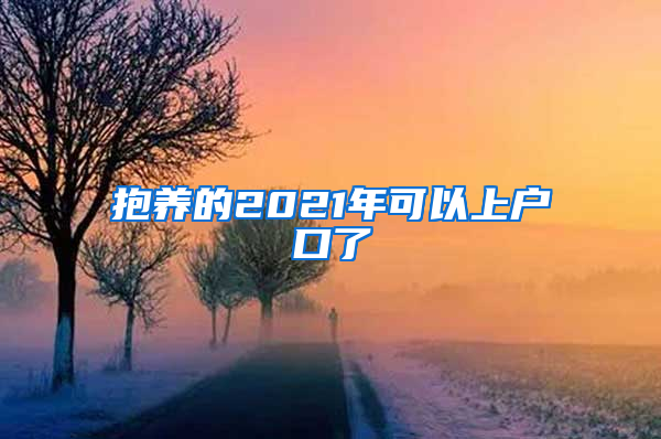 抱养的2021年可以上户口了