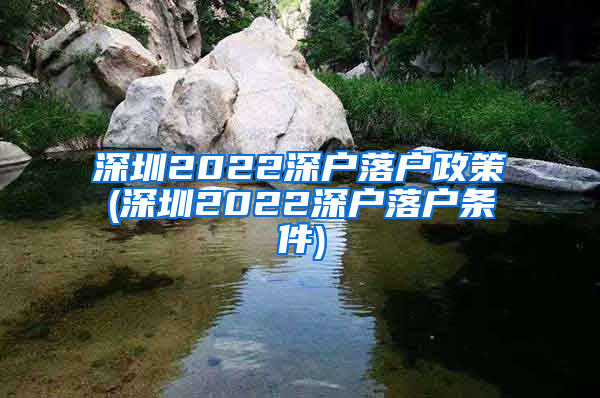 深圳2022深户落户政策(深圳2022深户落户条件)