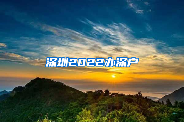 深圳2022办深户