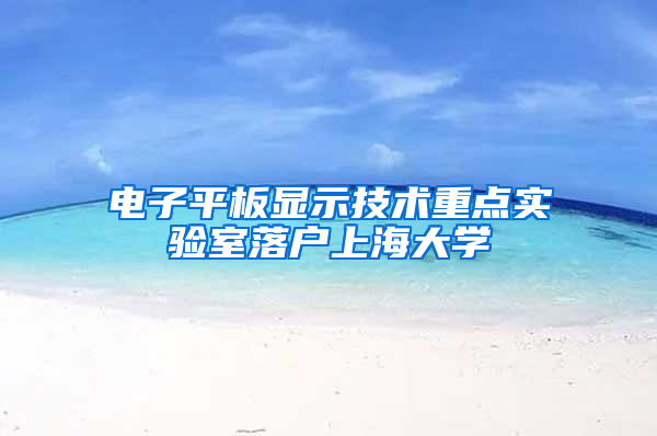 电子平板显示技术重点实验室落户上海大学