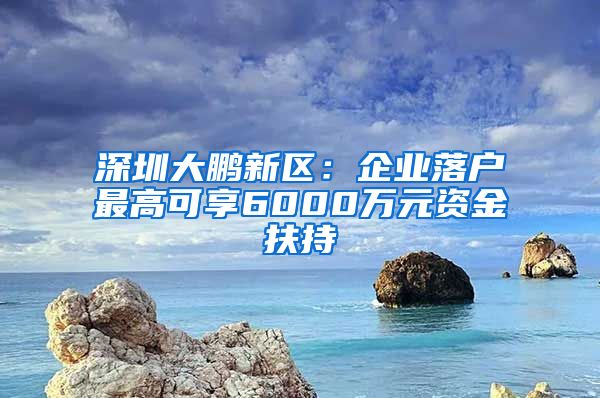 深圳大鹏新区：企业落户最高可享6000万元资金扶持