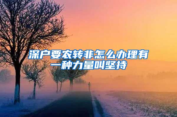 深户要农转非怎么办理有一种力量叫坚持