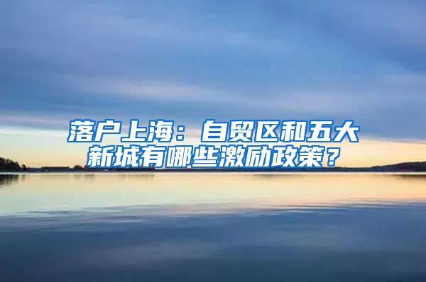 落户上海：自贸区和五大新城有哪些激励政策？