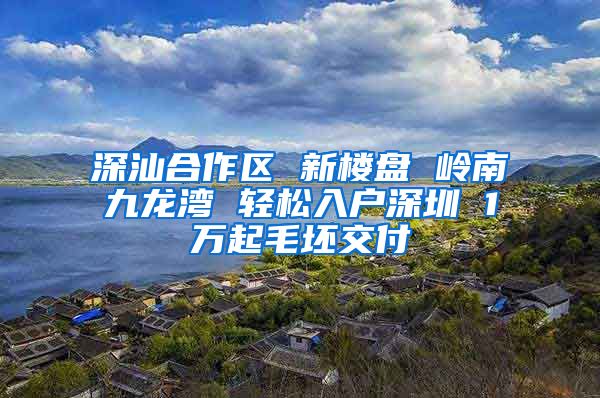 深汕合作区 新楼盘 岭南九龙湾 轻松入户深圳 1万起毛坯交付