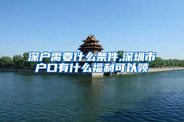 深户需要什么条件,深圳市户口有什么福利可以领