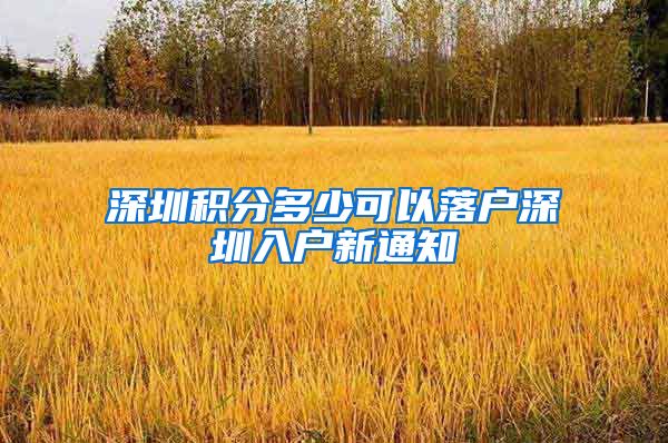 深圳积分多少可以落户深圳入户新通知