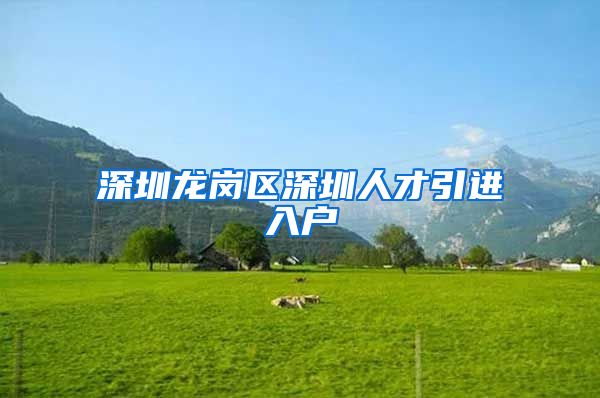 深圳龙岗区深圳人才引进入户