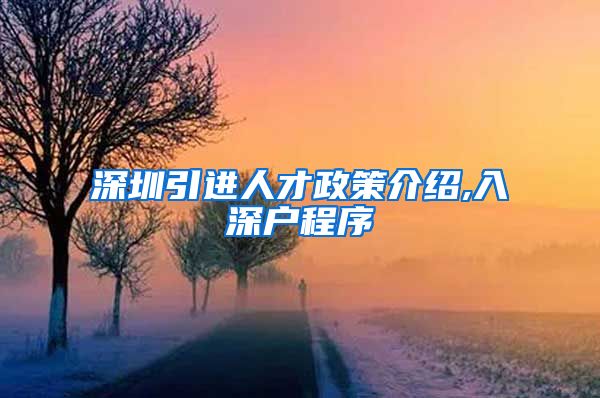 深圳引进人才政策介绍,入深户程序