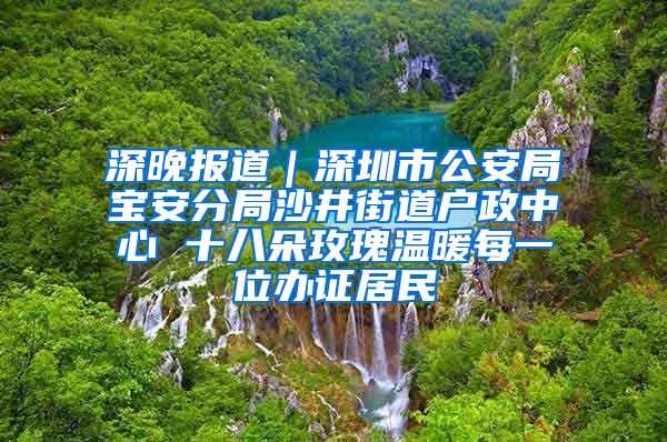 深晚报道｜深圳市公安局宝安分局沙井街道户政中心 十八朵玫瑰温暖每一位办证居民