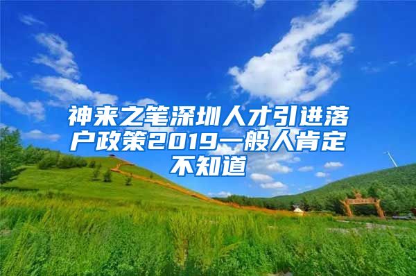 神来之笔深圳人才引进落户政策2019一般人肯定不知道