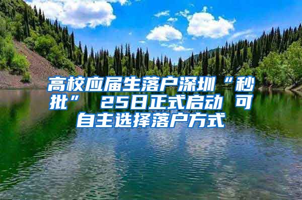 高校应届生落户深圳“秒批” 25日正式启动 可自主选择落户方式