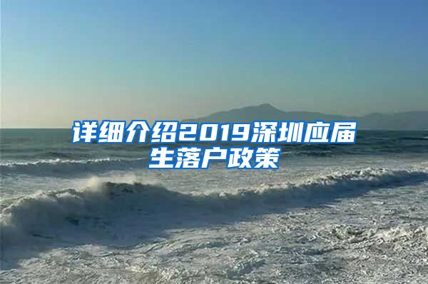 详细介绍2019深圳应届生落户政策