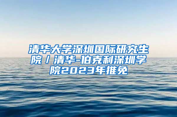 清华大学深圳国际研究生院／清华-伯克利深圳学院2023年推免