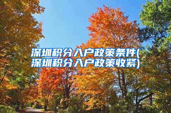 深圳积分入户政策条件(深圳积分入户政策收紧)