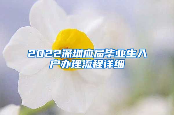 2022深圳应届毕业生入户办理流程详细