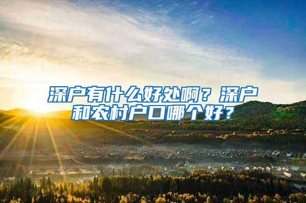 深户有什么好处啊？深户和农村户口哪个好？