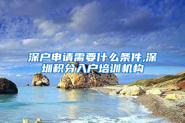 深户申请需要什么条件,深圳积分入户培训机构