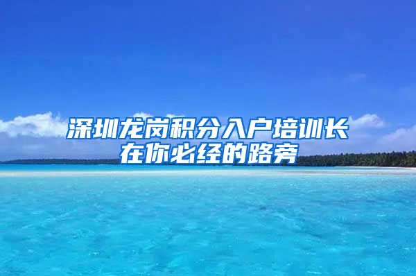 深圳龙岗积分入户培训长在你必经的路旁