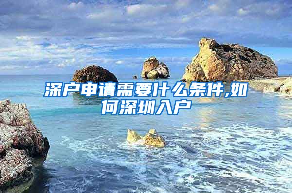 深户申请需要什么条件,如何深圳入户