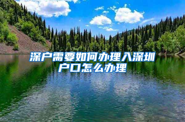 深户需要如何办理入深圳户口怎么办理