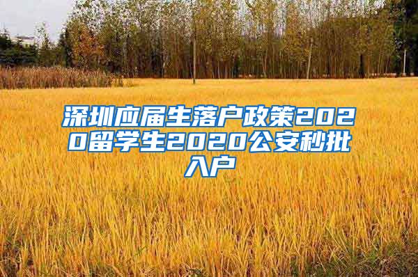 深圳应届生落户政策2020留学生2020公安秒批入户