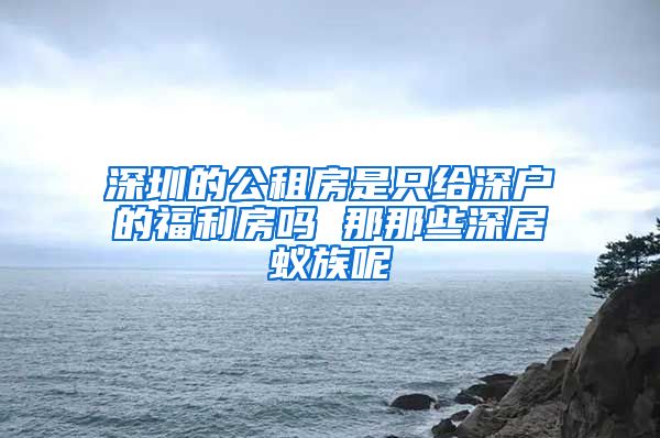 深圳的公租房是只给深户的福利房吗 那那些深居蚁族呢