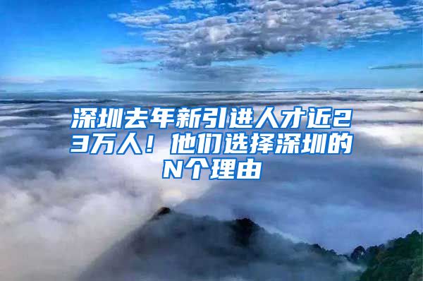 深圳去年新引进人才近23万人！他们选择深圳的N个理由