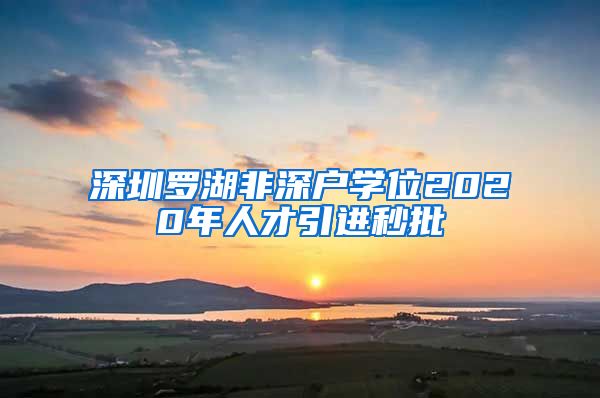 深圳罗湖非深户学位2020年人才引进秒批