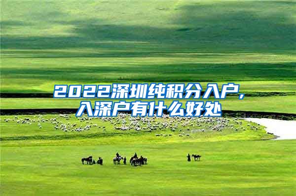 2022深圳纯积分入户,入深户有什么好处