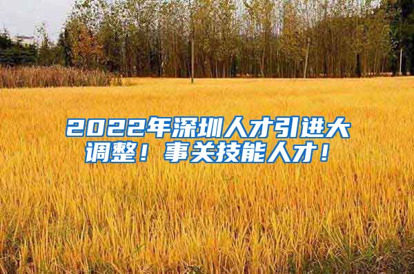 2022年深圳人才引进大调整！事关技能人才！