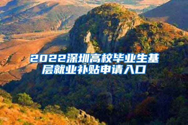 2022深圳高校毕业生基层就业补贴申请入口