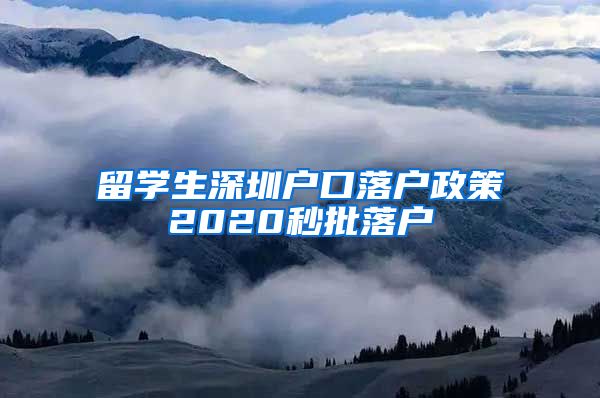 留学生深圳户口落户政策2020秒批落户