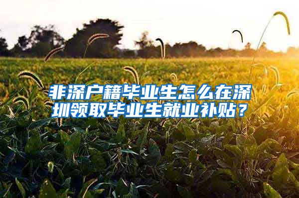 非深户籍毕业生怎么在深圳领取毕业生就业补贴？