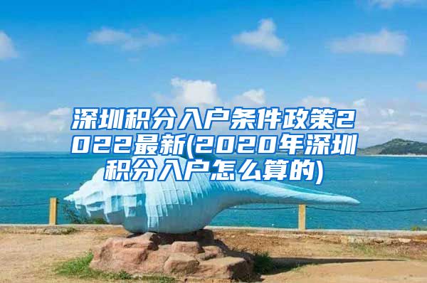 深圳积分入户条件政策2022最新(2020年深圳积分入户怎么算的)