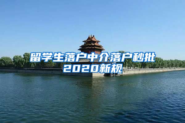 留学生落户中介落户秒批2020新规