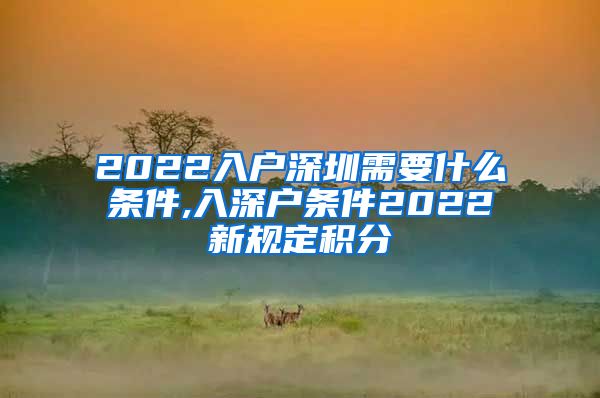 2022入户深圳需要什么条件,入深户条件2022新规定积分