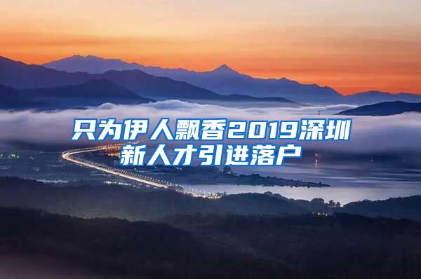 只为伊人飘香2019深圳新人才引进落户