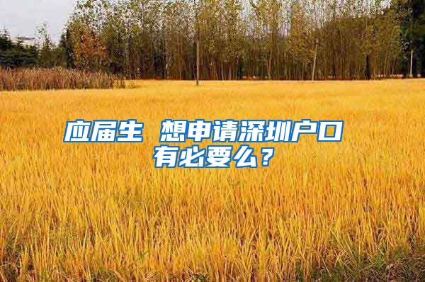 应届生 想申请深圳户口 有必要么？