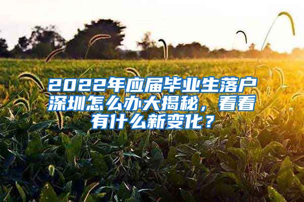 2022年应届毕业生落户深圳怎么办大揭秘，看看有什么新变化？