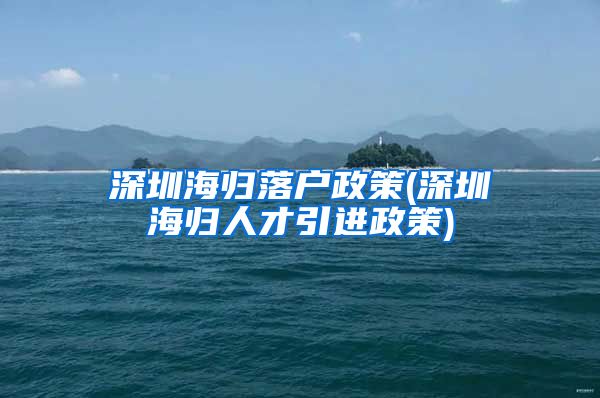 深圳海归落户政策(深圳海归人才引进政策)