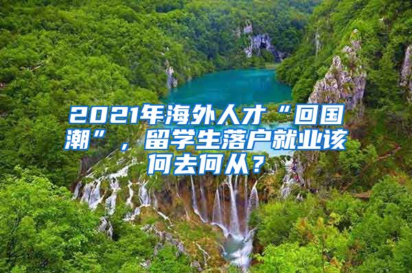 2021年海外人才“回国潮”，留学生落户就业该何去何从？