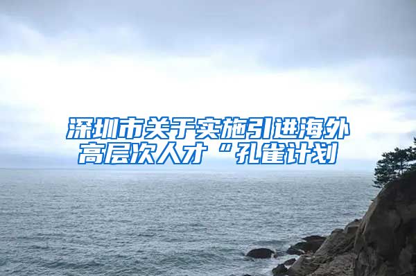 深圳市关于实施引进海外高层次人才“孔雀计划