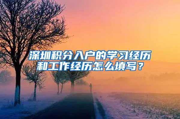 深圳积分入户的学习经历和工作经历怎么填写？