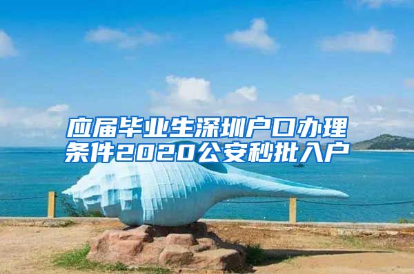 应届毕业生深圳户口办理条件2020公安秒批入户