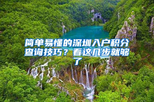 简单易懂的深圳入户积分查询技巧？看这几步就够了