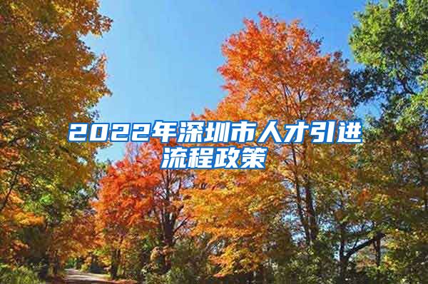 2022年深圳市人才引进流程政策