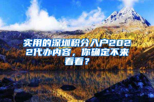 实用的深圳积分入户2022代办内容，你确定不来看看？