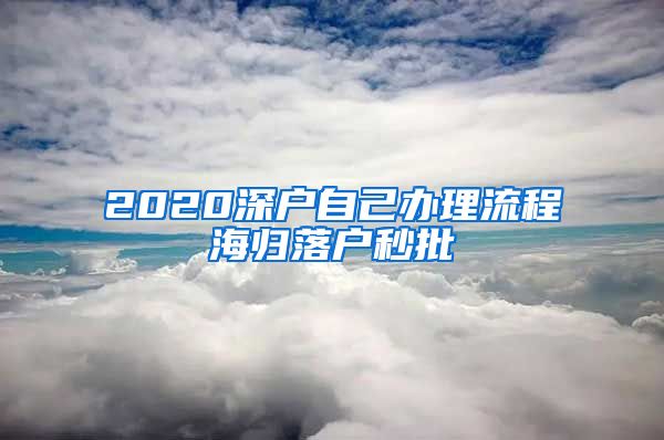 2020深户自己办理流程海归落户秒批