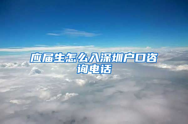 应届生怎么入深圳户口咨询电话