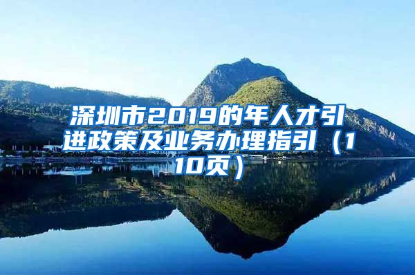 深圳市2019的年人才引进政策及业务办理指引（110页）